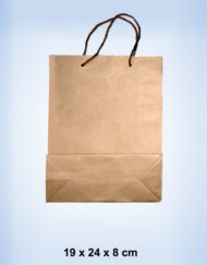 Craft paper Bag 19 x 24 x 8 cm