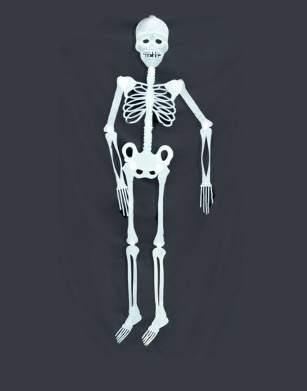 Halloween Glow In The Dark Skeleton