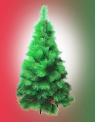 6 Foot Christmas Tree needle Pines with Cone
