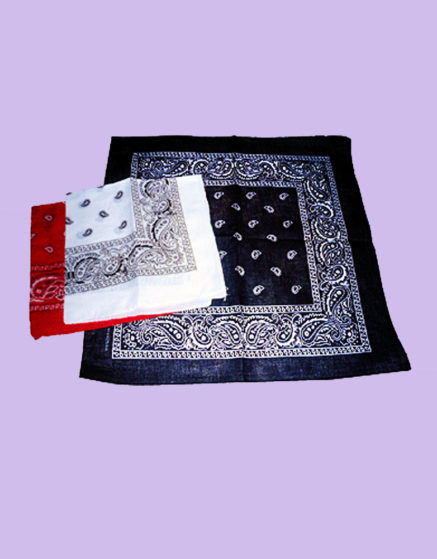 Bandanna Scarf