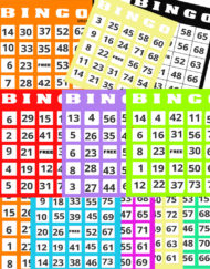 Bingo Game Card-extra
