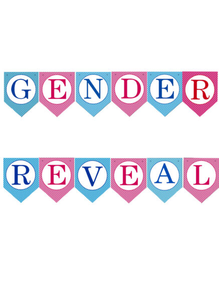Gender Reveal Party Banner