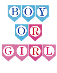 Gender Reveal Party Ideas Boy or Girl Banner