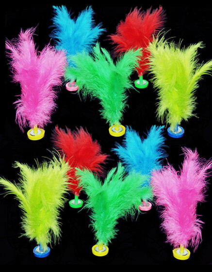 Feather Kicking Shuttlecock