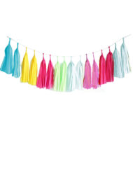 Assorted Pastel color Tassel Garland