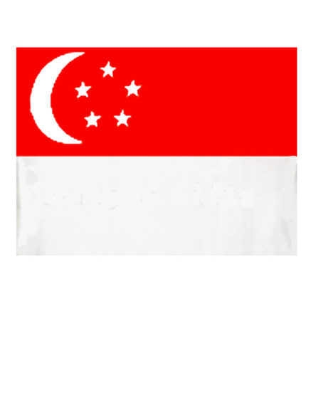 Singapore National Flag