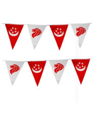 Singapore Triangle Flag Bunting