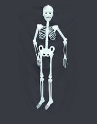 Halloween Glow In The Dark Skeleton