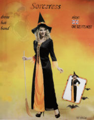 Halloween Costume Adult Witch Yellow-Black