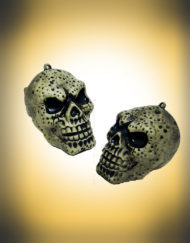 Skull Skeleton Head Small