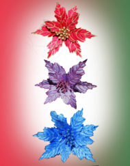 Christmas Flowers