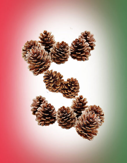 Christmas Natural Pine Corns