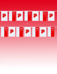 Singapore National Day Flag Bunting