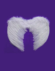 Angel Wing