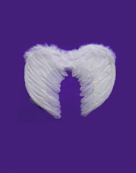 White Feather Wing-S