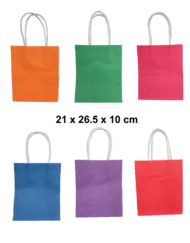 Single Color Craft Paper Bag