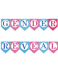 Gender Reveal Party Banner