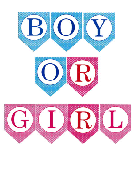 Gender Reveal Party Ideas Boy or Girl Banner